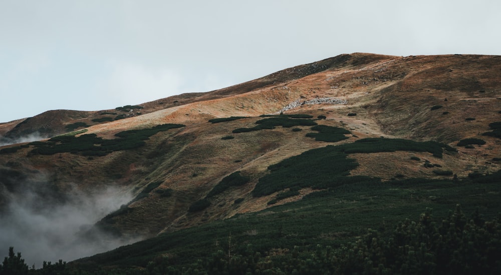 a view of a mountain covered in fog