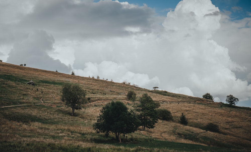 a grassy hill with trees and clouds in the background