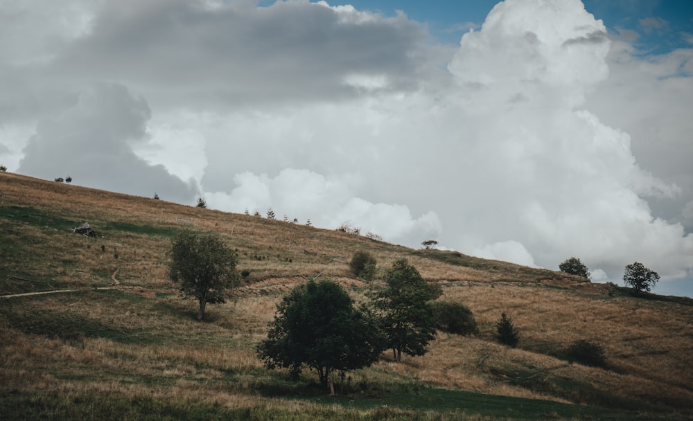 ein grasbewachsener Hügel mit Bäumen und Wolken im Hintergrund
