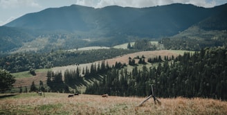 A picturesque ranch landscape with rolling hills and grazing cattle.
