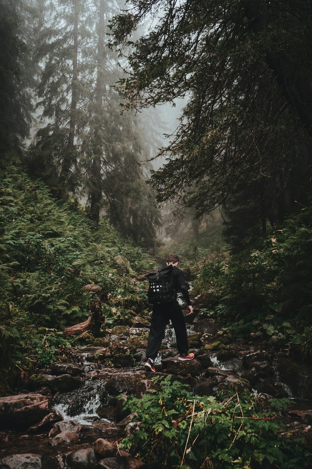 a man standing in a forest next to a stream