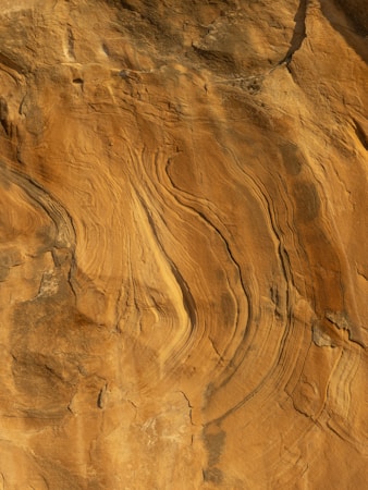 The image displays a close-up view of a rock face with intricate natural patterns and textures. The rock features swirling lines and layers that reveal its geological formation process, characterized by shades of warm brown and beige.