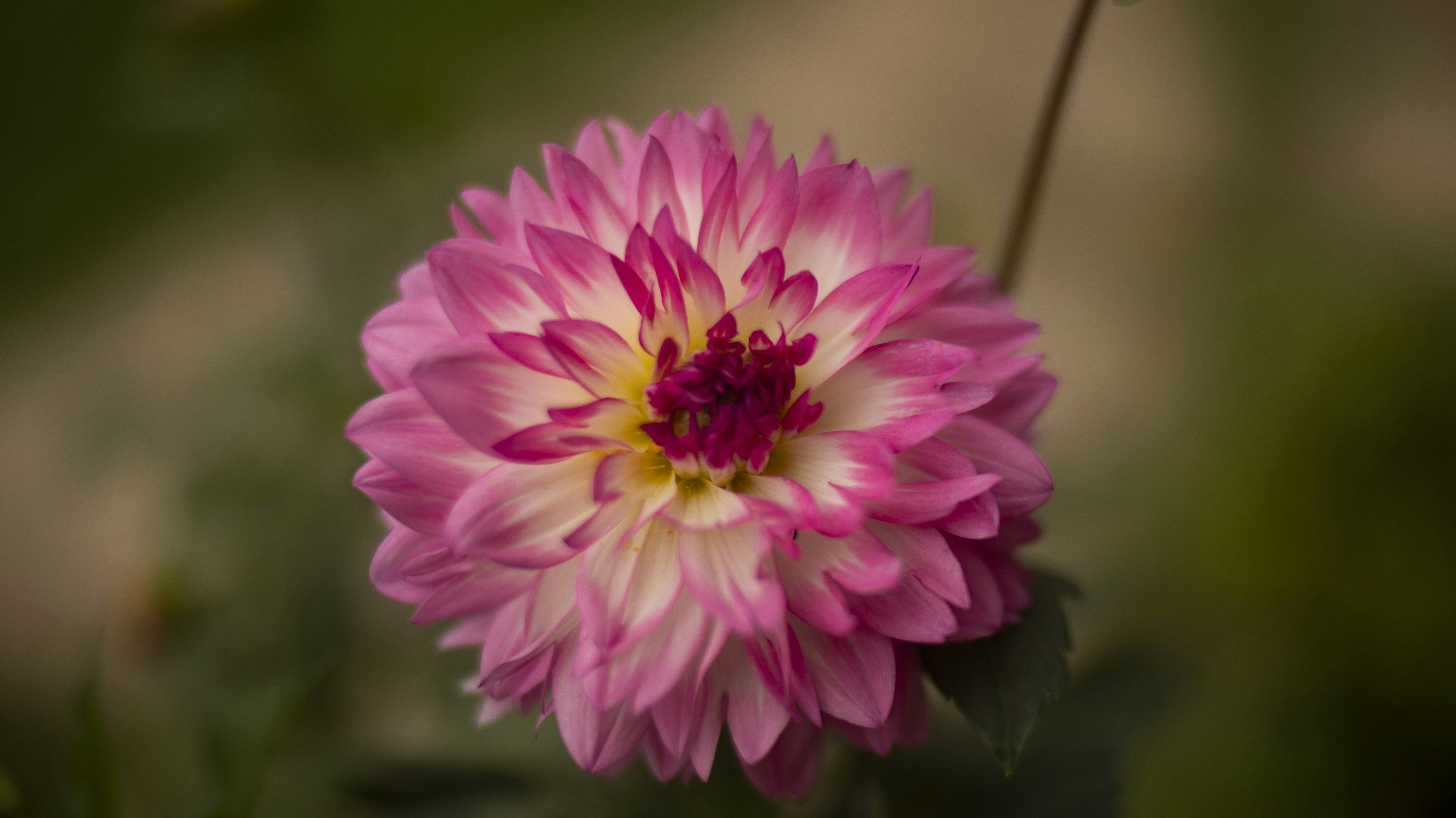 Photo by fotograficznahistoria