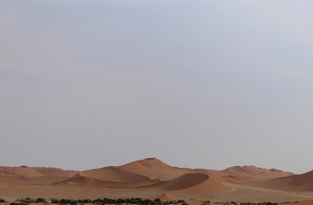 a group of sand dunes with trees in the foreground