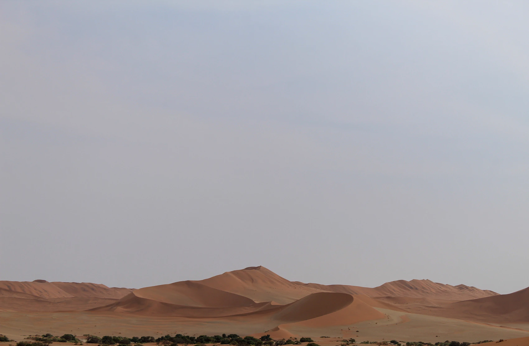 Red dunes rising above sparse trees at Sossusvlei in Namibia