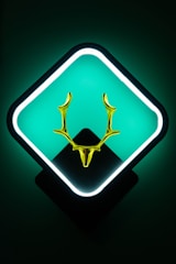 A striking gold-framed image of California wildlife.