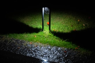 A solitary, vertical light fixture stands on a patch of vibrant green grass, casting a stark illumination in its vicinity. The ground is a mixture of grass and cobblestone, with a few scattered leaves, creating a textured surface. The light's beam creates a distinct contrast between the lit area and the surrounding darkness.