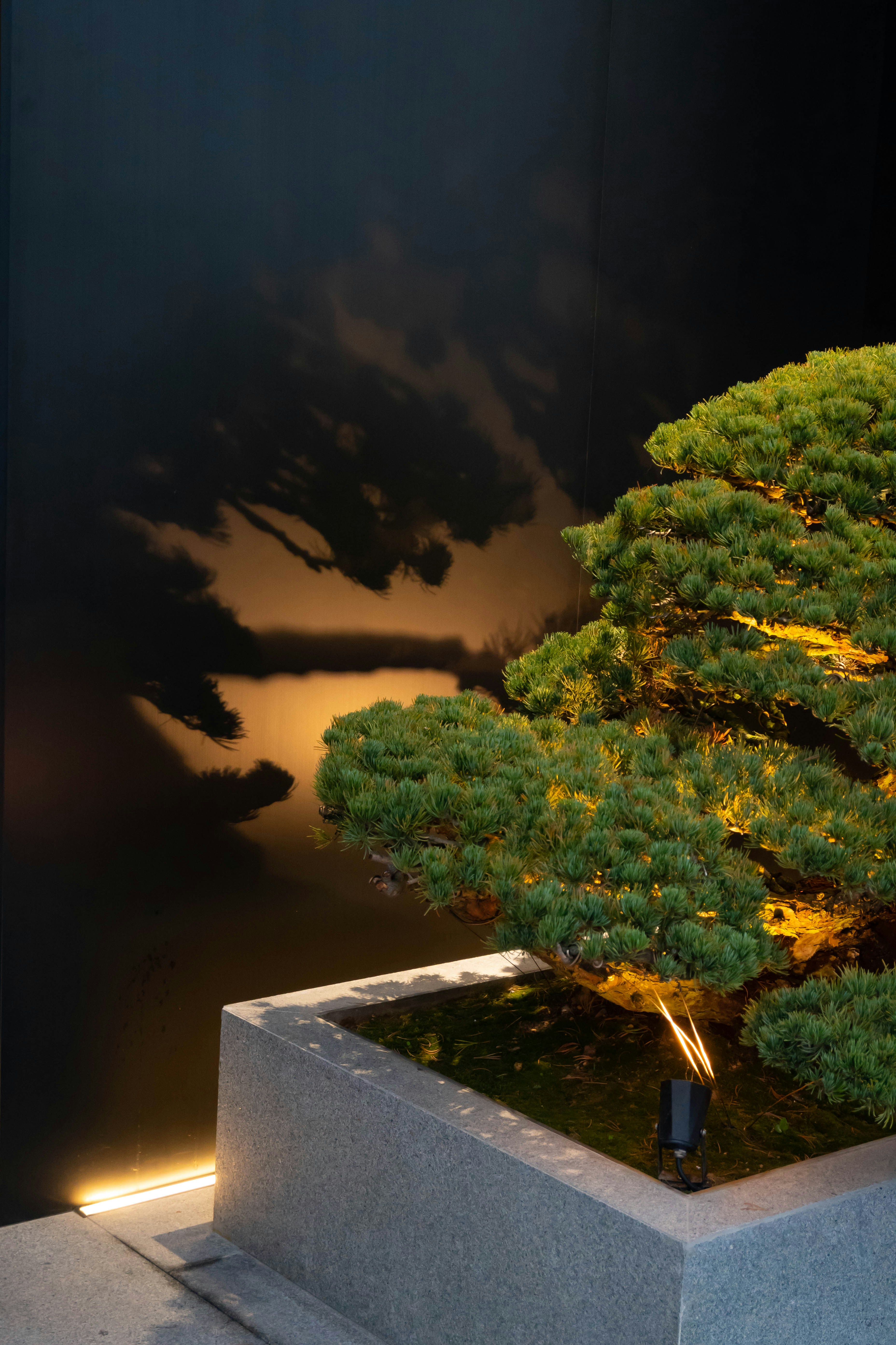 Miniature Zen House