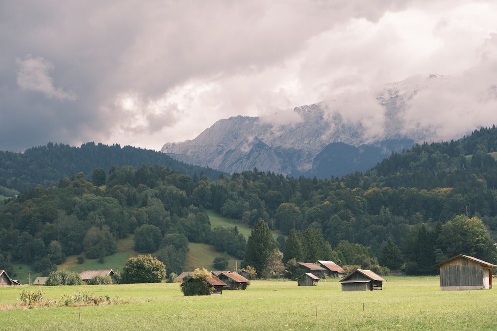 a grassy field with houses and mountains in the background