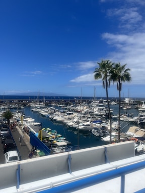 A welcoming marina office with boats docked under a clear blue sky.
