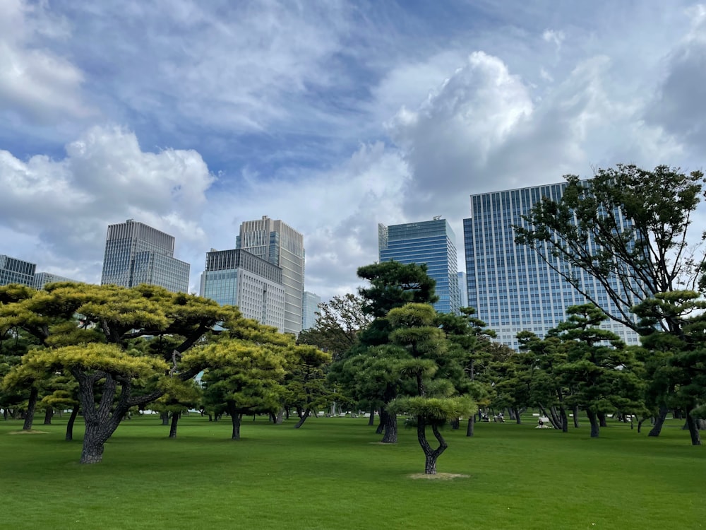 a grassy field with trees and buildings in the background