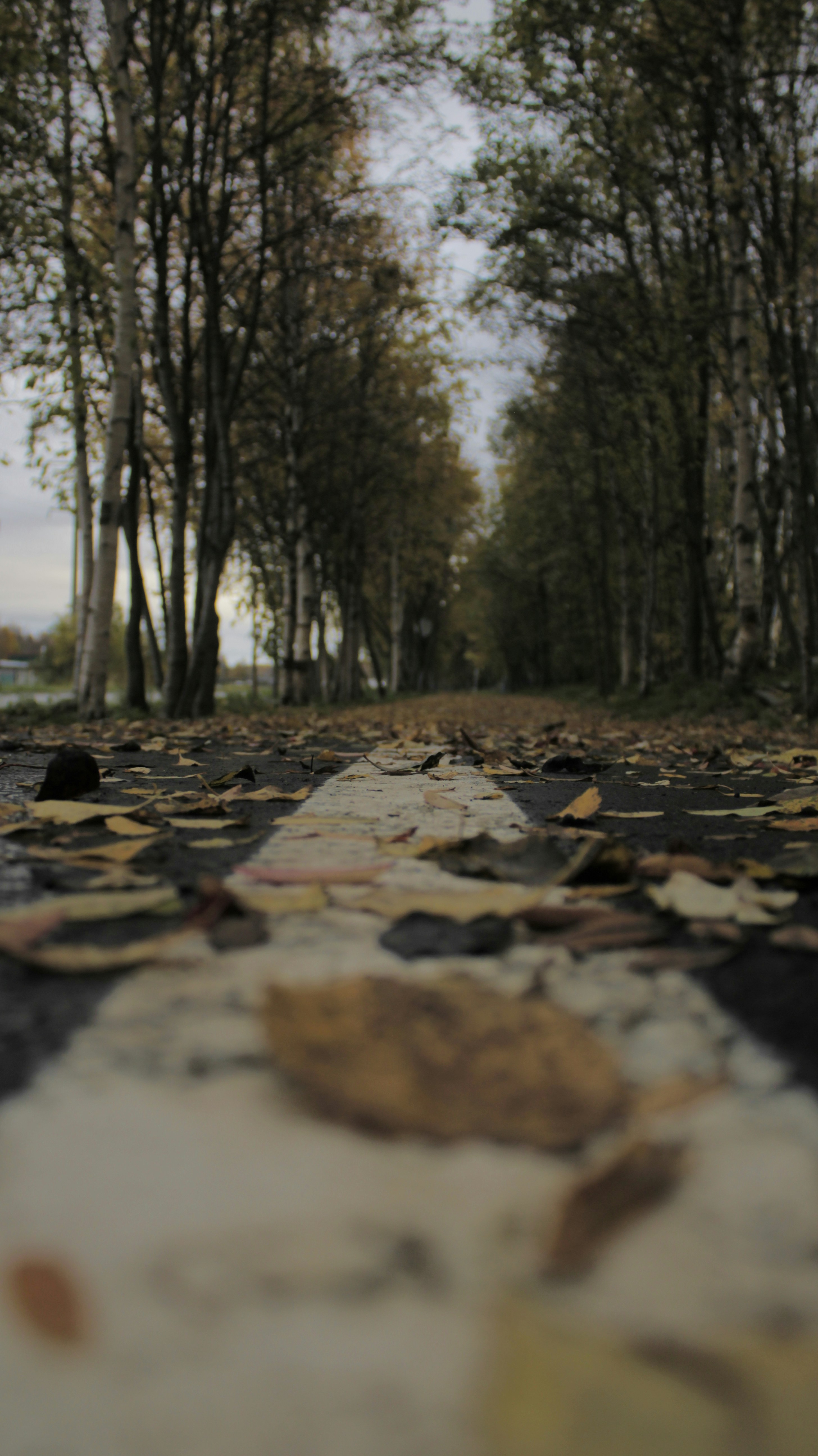 Photo by alexander_churkin