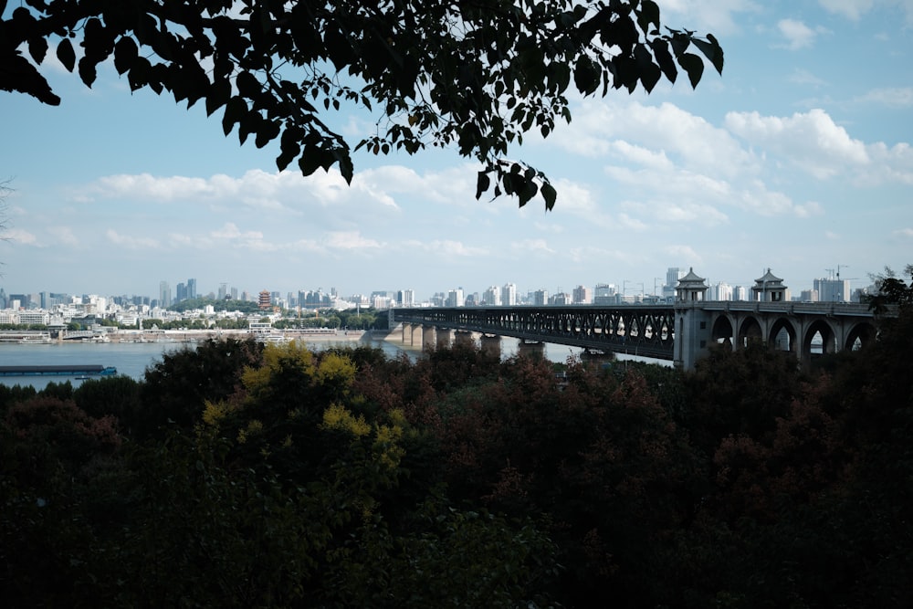 a bridge over a river with a city in the background