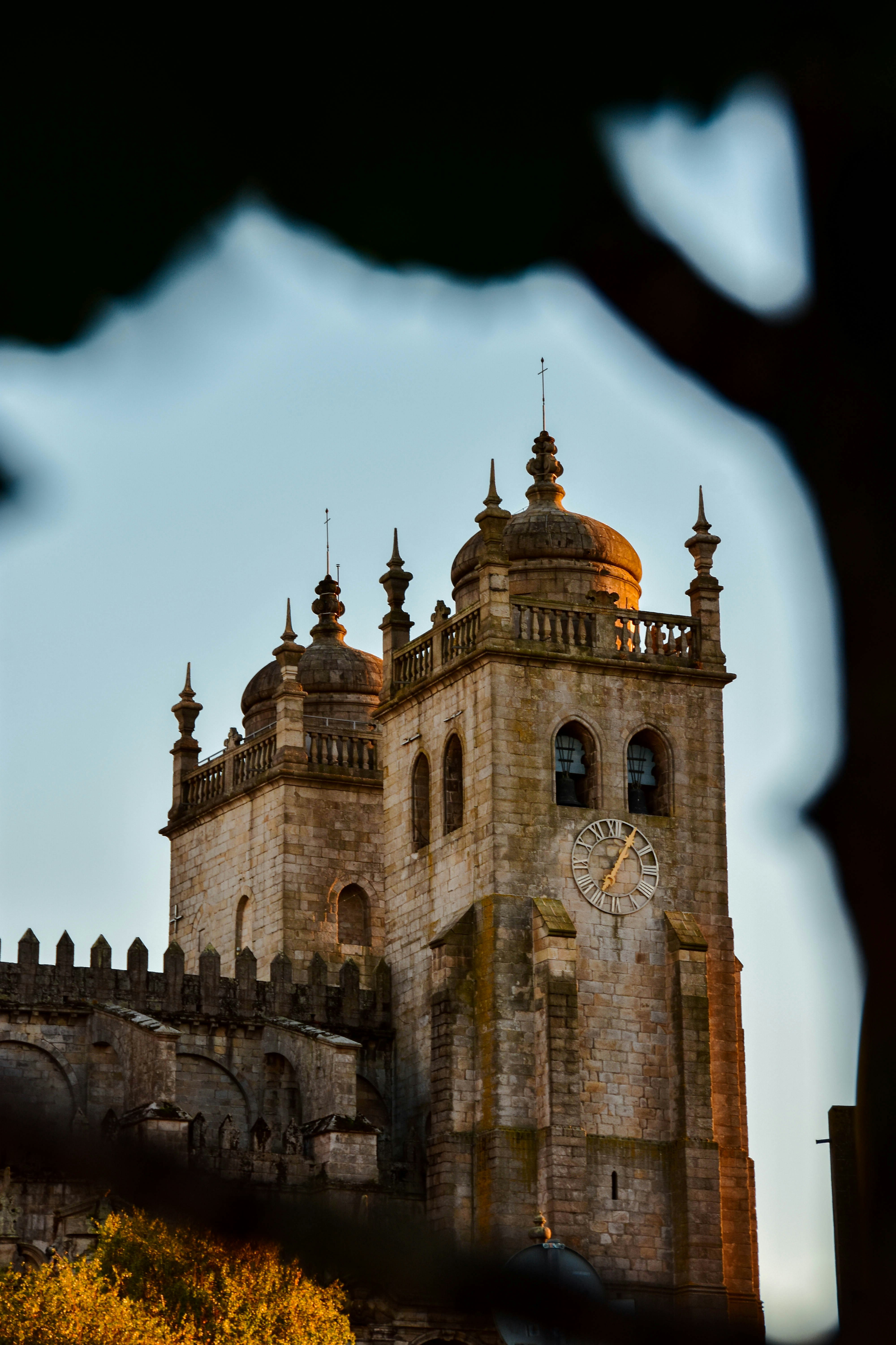 Photo by miguelfaria_photo