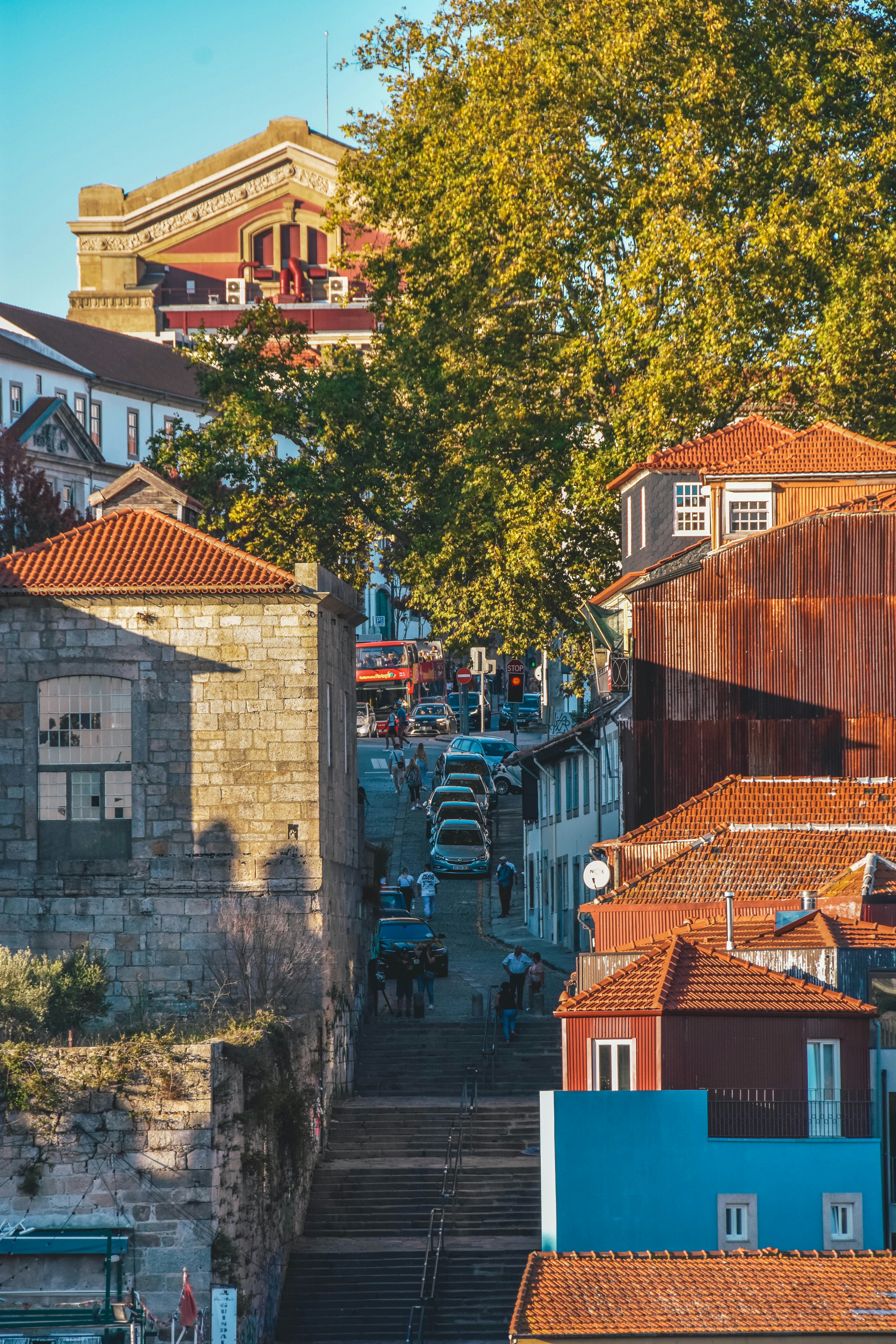 Photo by miguelfaria_photo