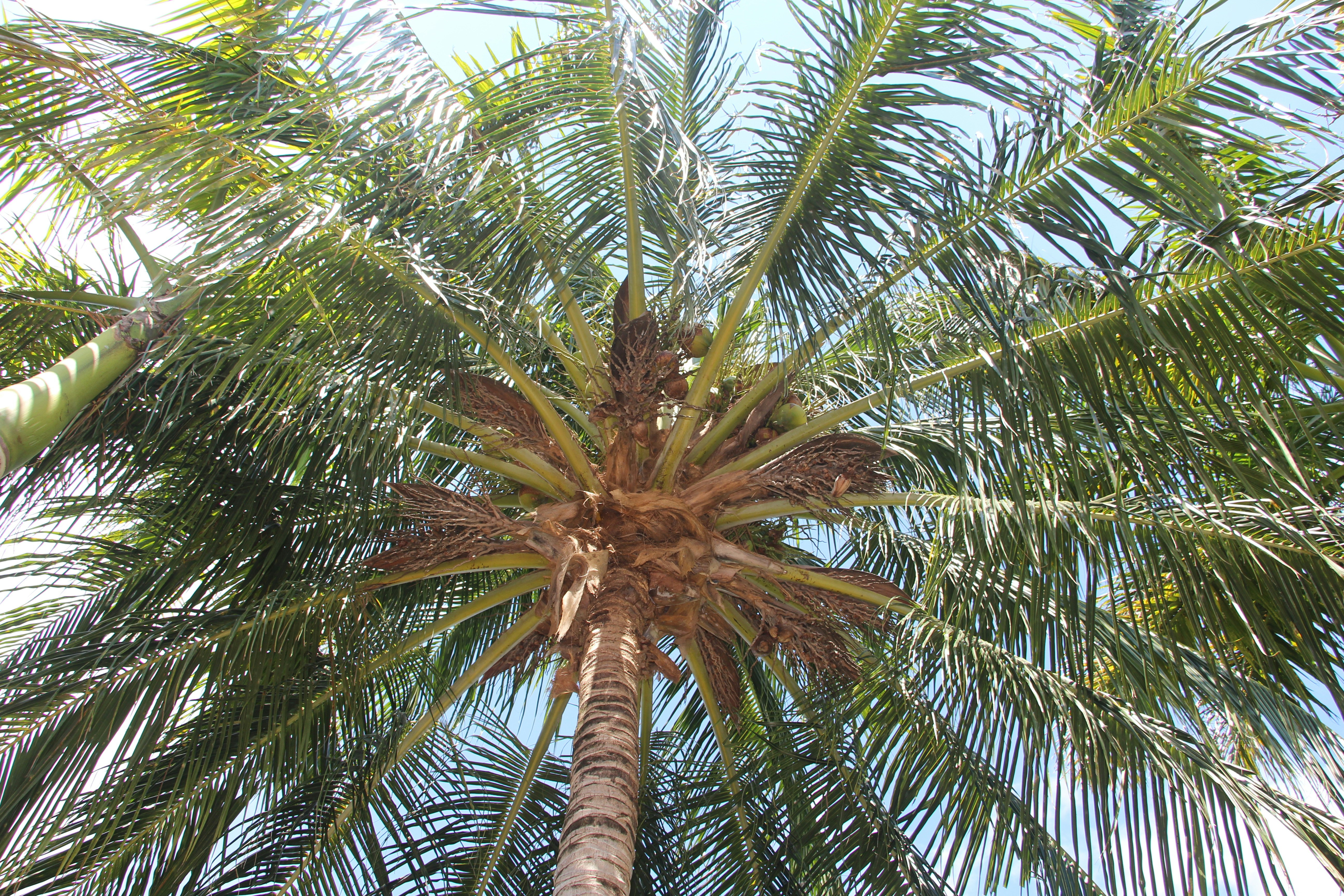 Photo by naturaleza_general