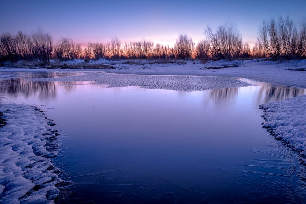 a frozen lake surrounded by snow and trees