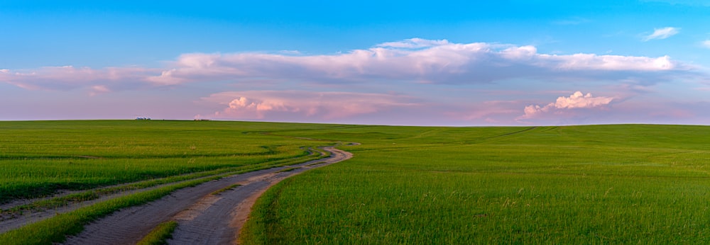 a dirt road running through a lush green field