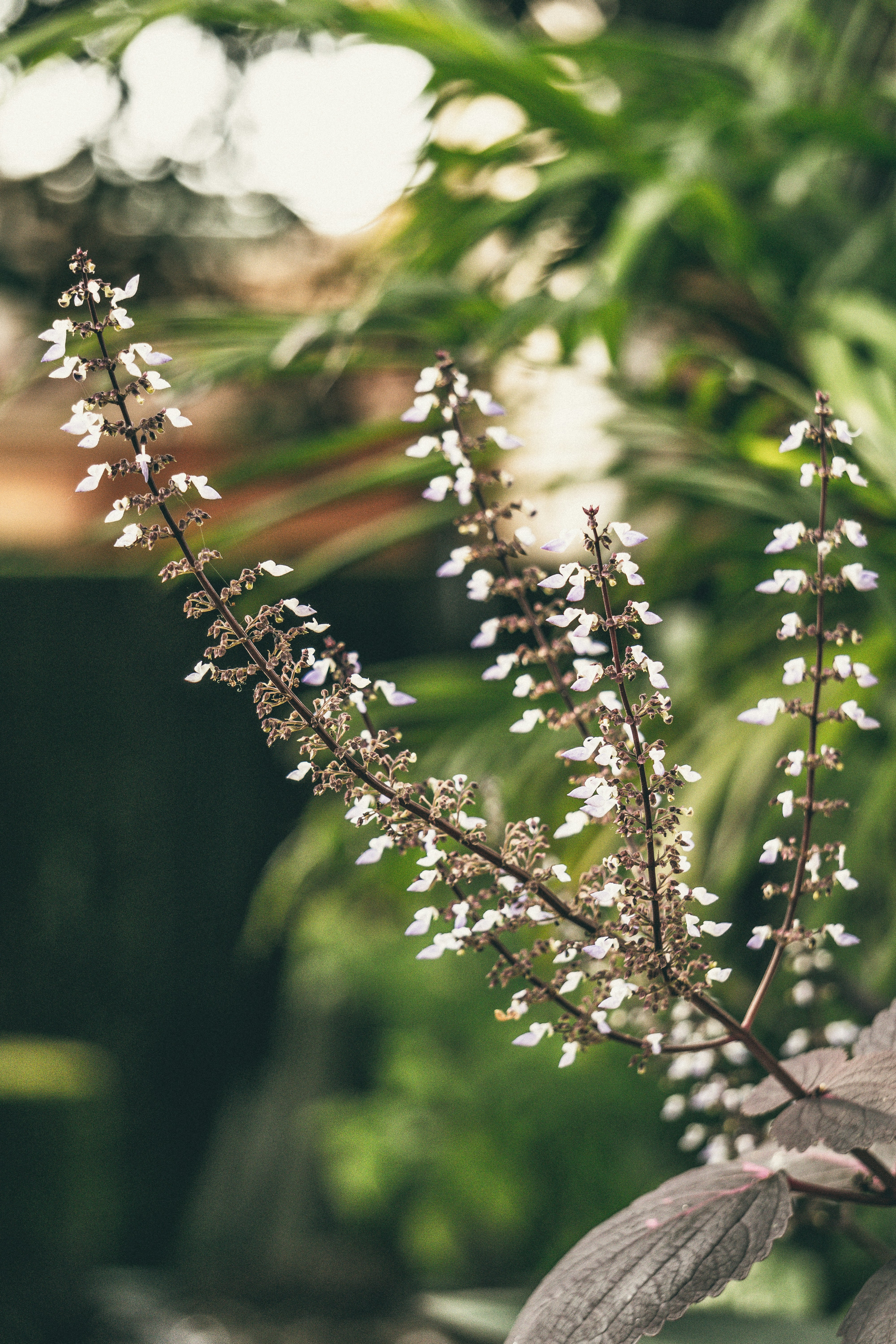 Photo by royphotography