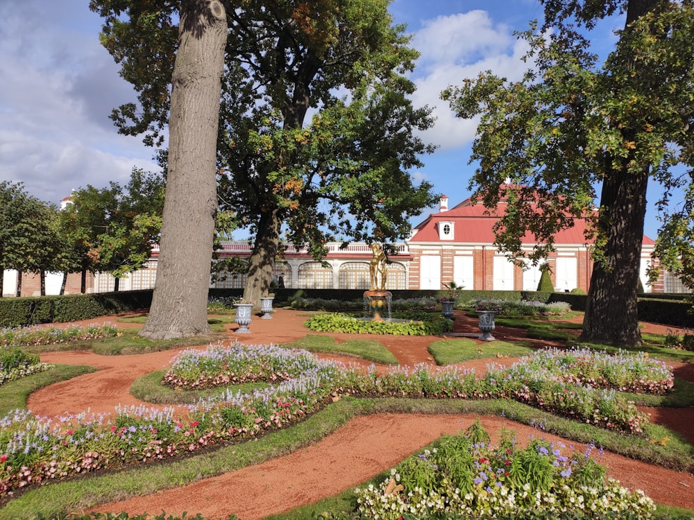 a garden with a lot of flowers and trees