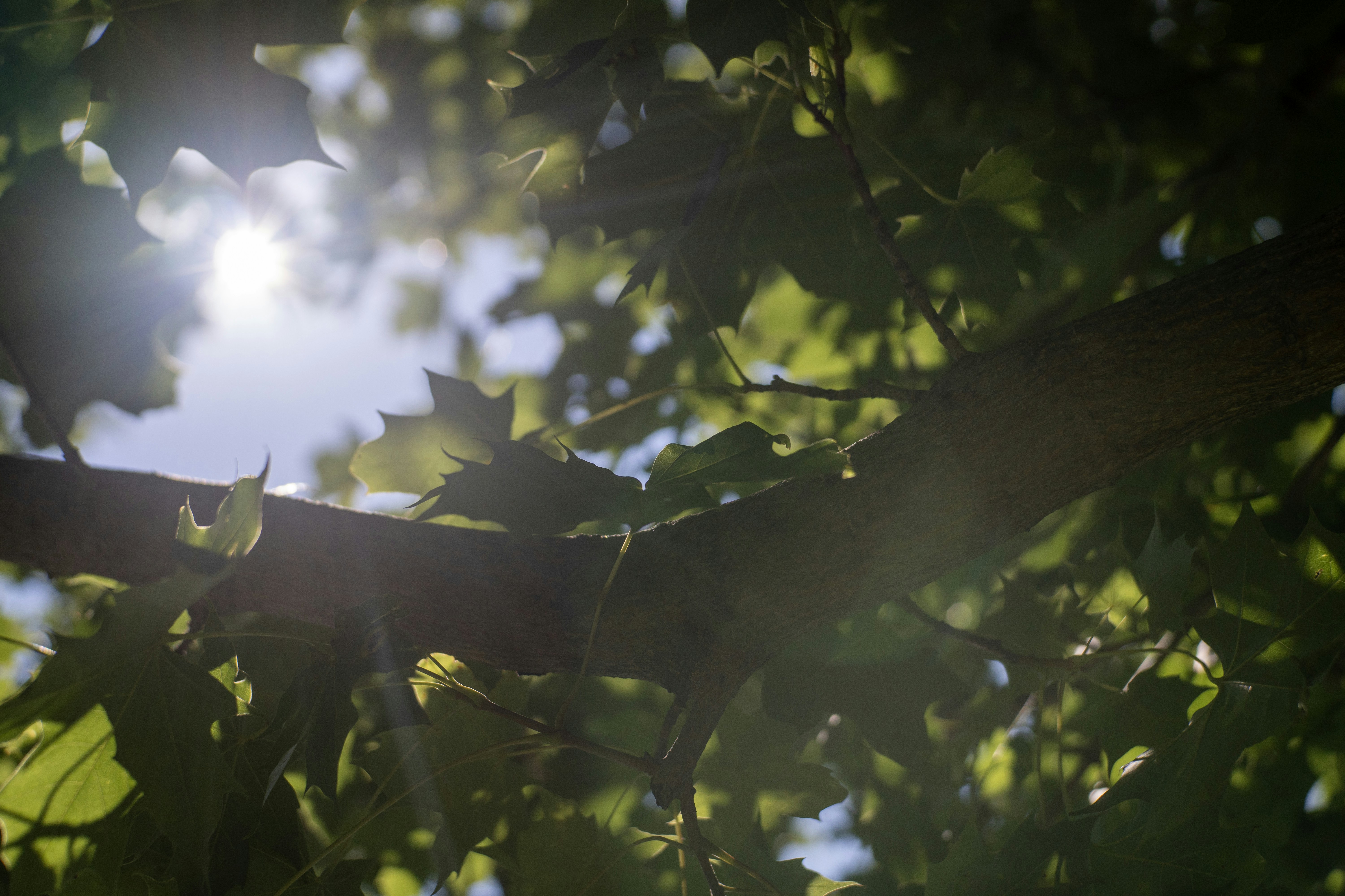 Photo by vitaliyburovart