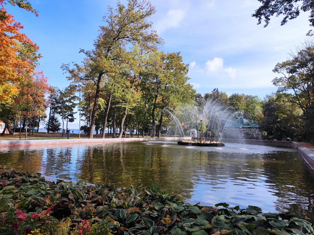 a pond with a fountain surrounded by trees