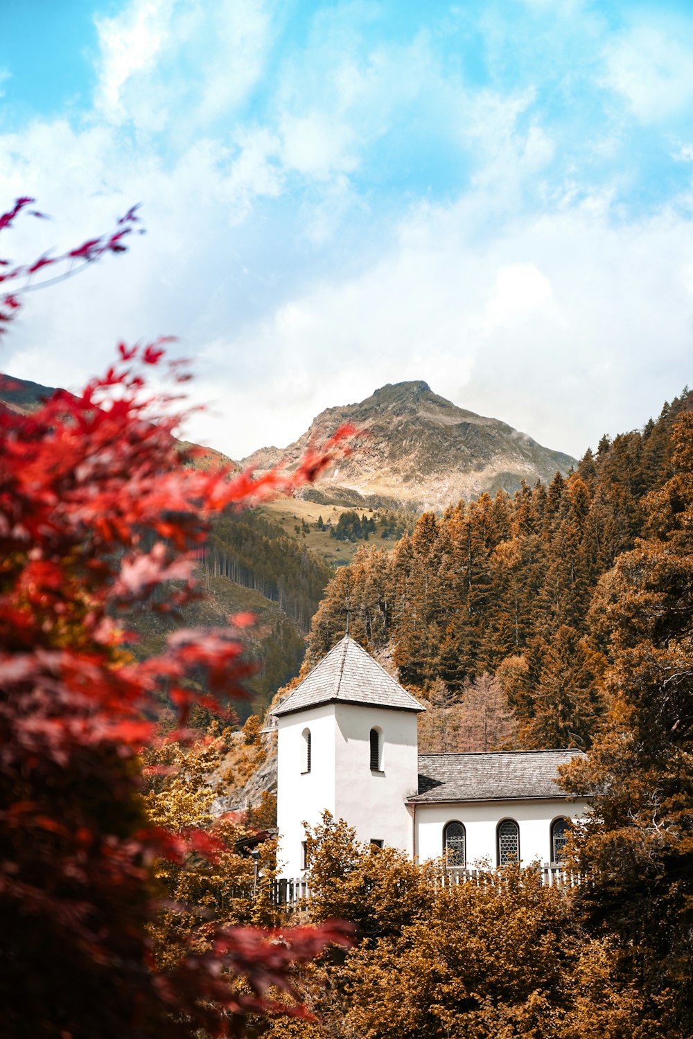 a white church surrounded by trees and mountains