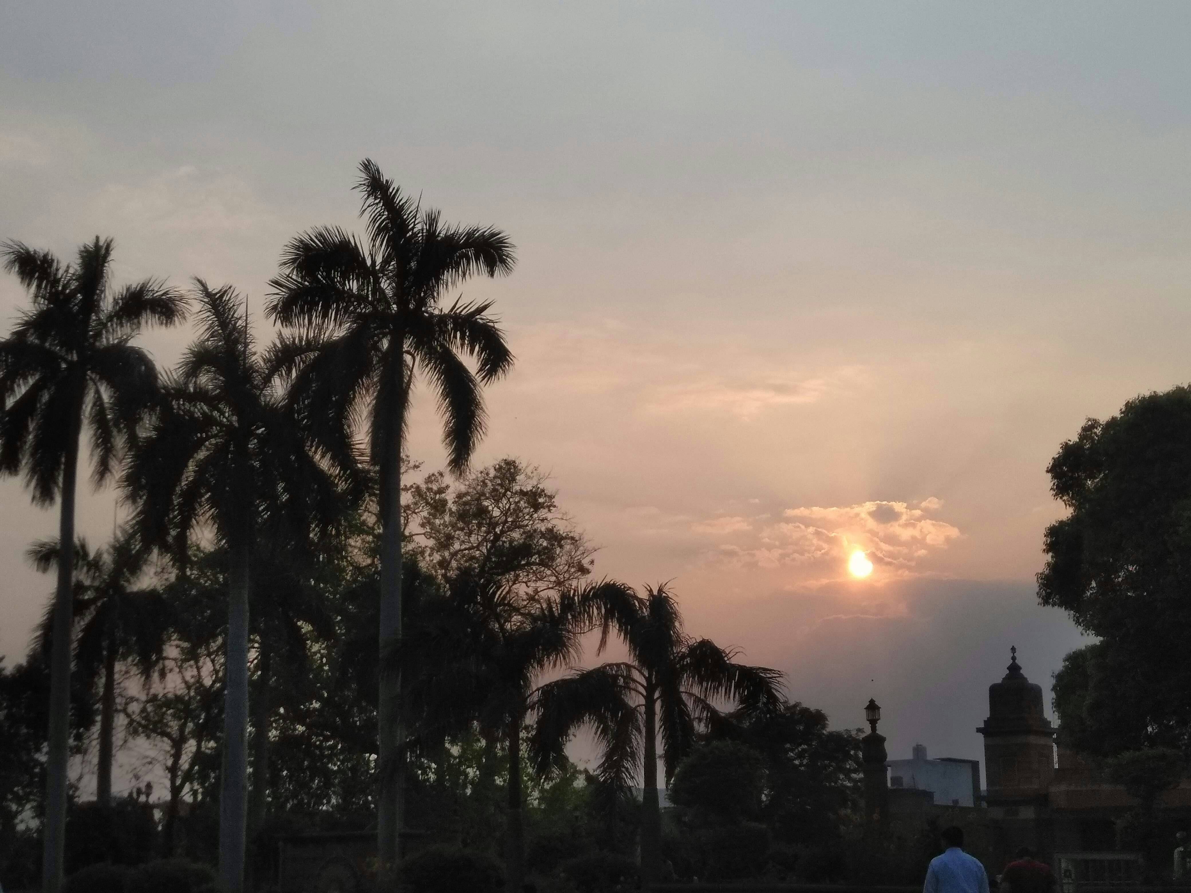Photo by mayank_singh_