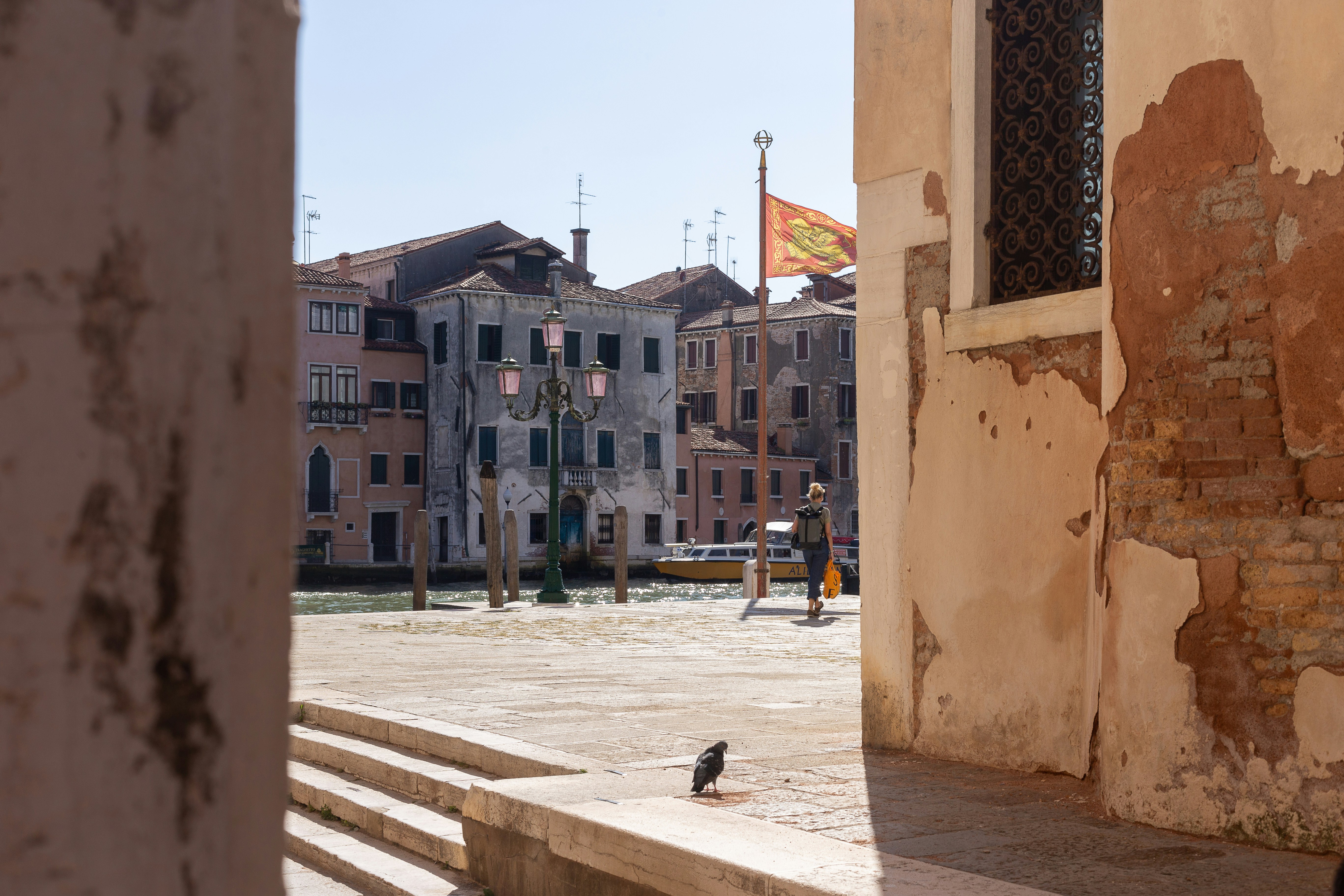 a bird is sitting on a ledge in front of a building