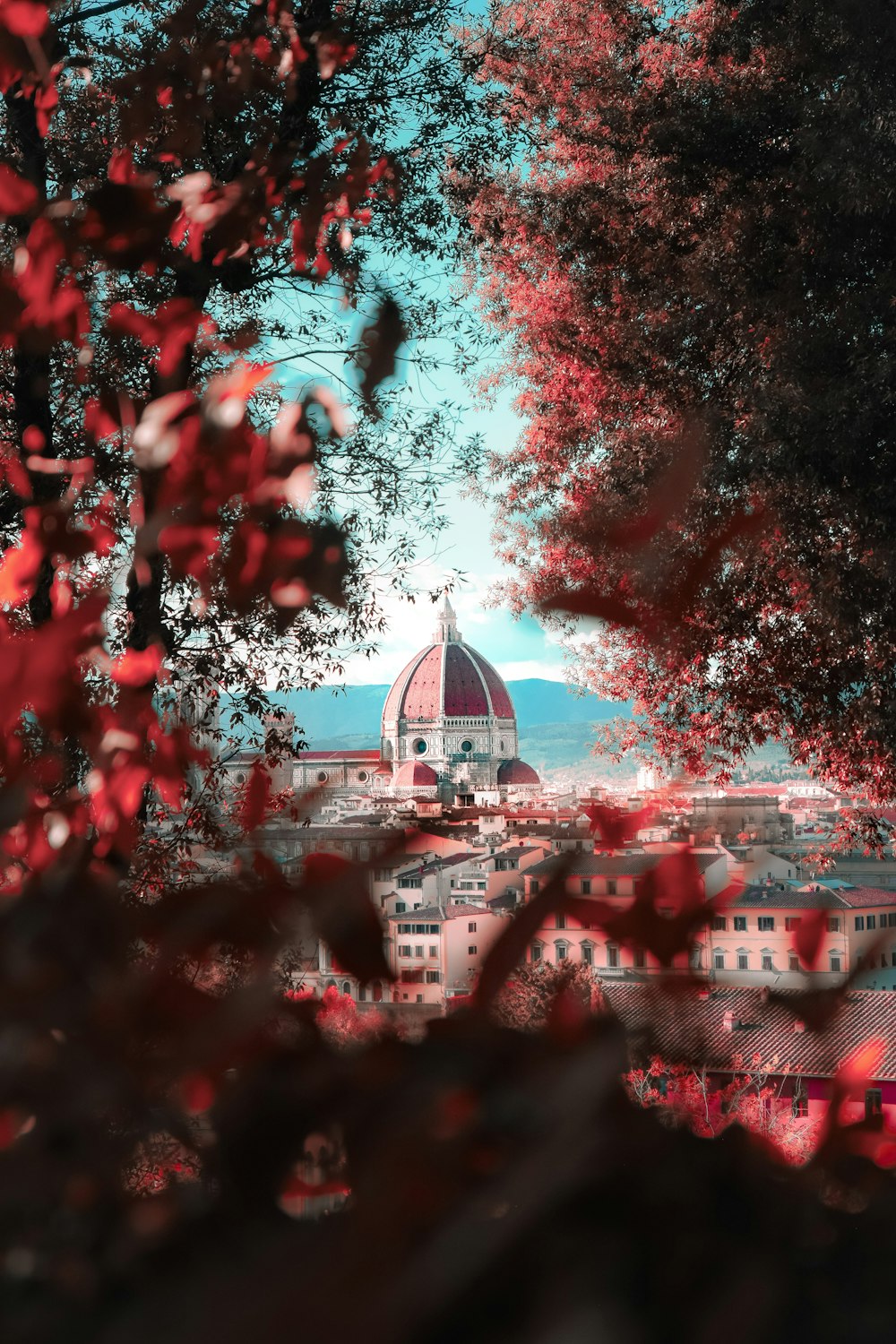 a view of a building through some trees