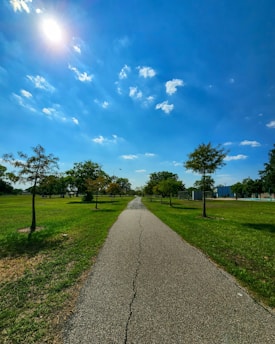 A sunlit path winding through a vibrant American neighborhood, symbolizing opportunity and new beginnings.