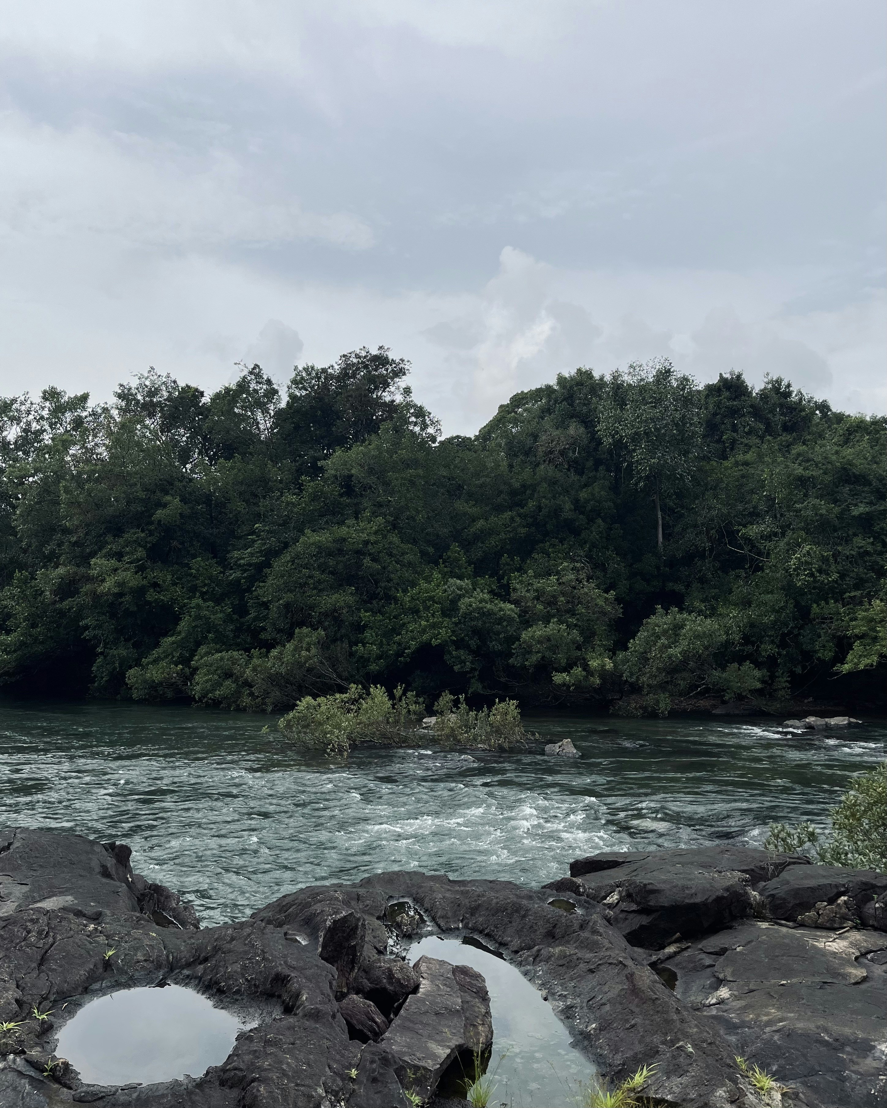 Photo by vishwasnavadak