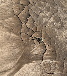 A cracked stone beginning to split open, hinting at the breakthrough moments in transformation.