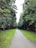 A pathway through a forest bordered by tall trees on both sides. The pathway is straight and paved, with vibrant green grass on either side.
