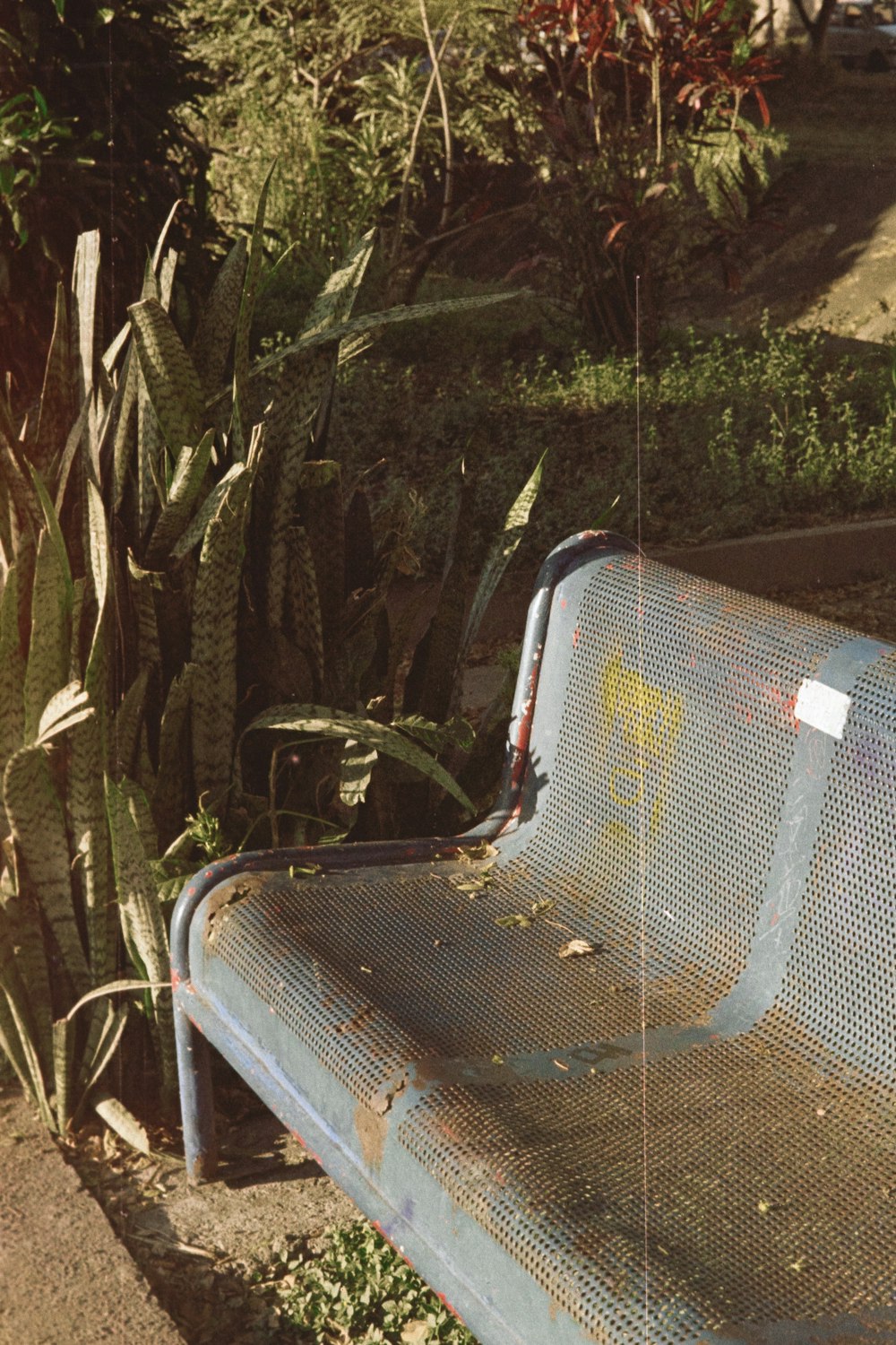 a metal bench sitting in front of a bush