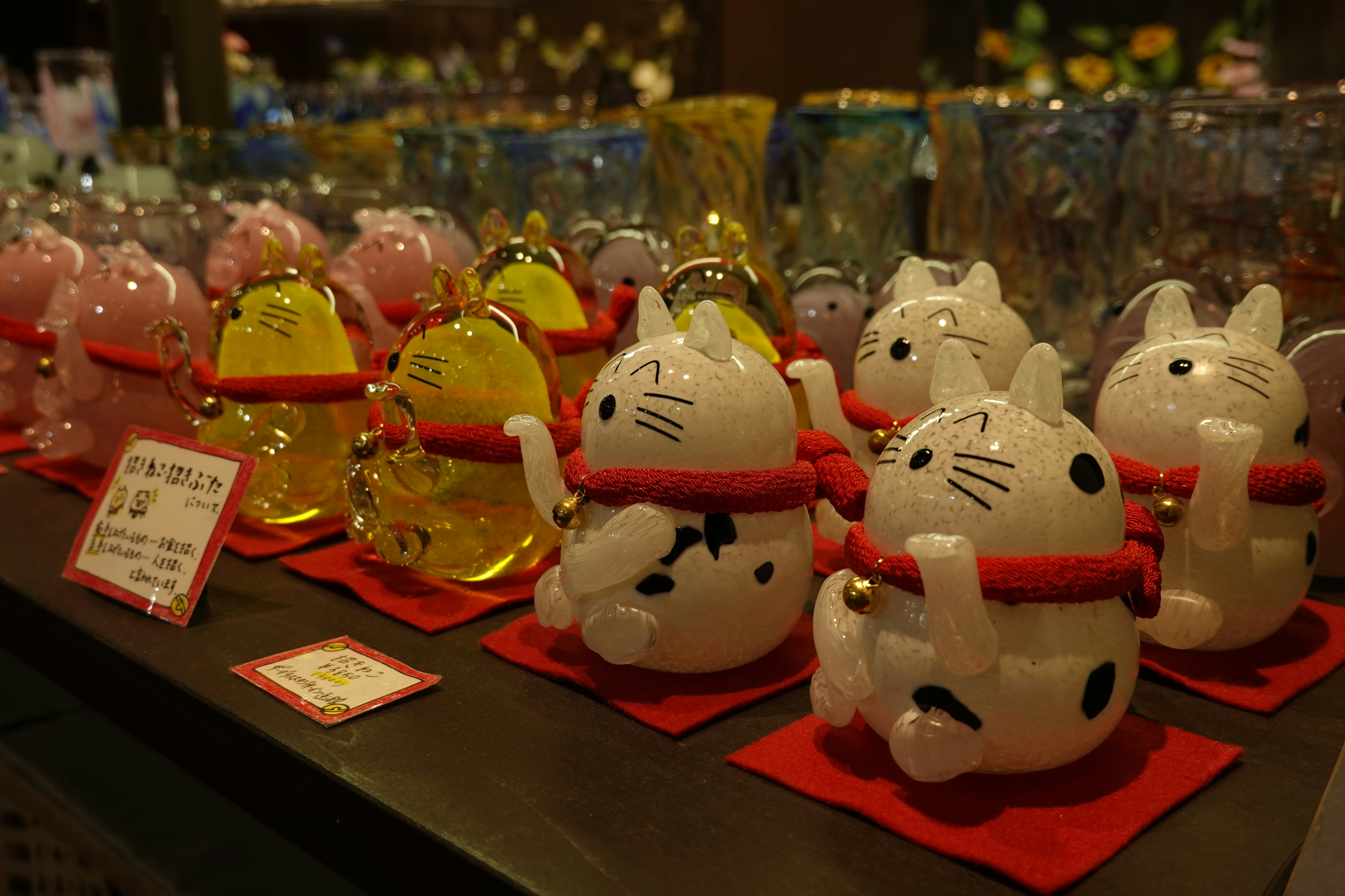 Turkish Cats Collection