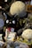 A variety of plush toys and merchandise featuring characters from a popular animated movie are displayed. The toys include large and small plush figures of a large grey creature with a white belly and a smaller black cat with a red bow. Surrounding these are various packaged items with character designs.
