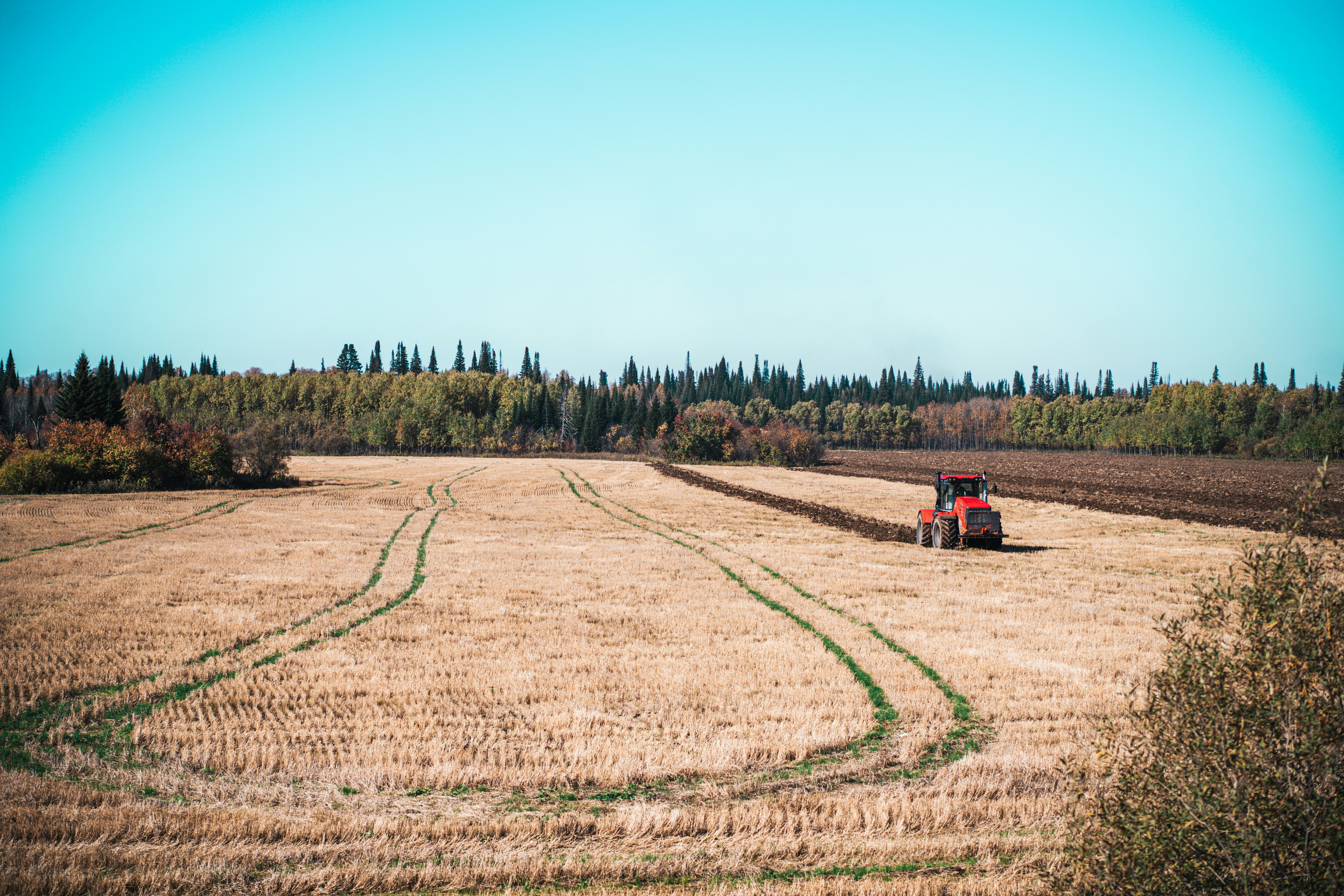 Photo by anamnesis33