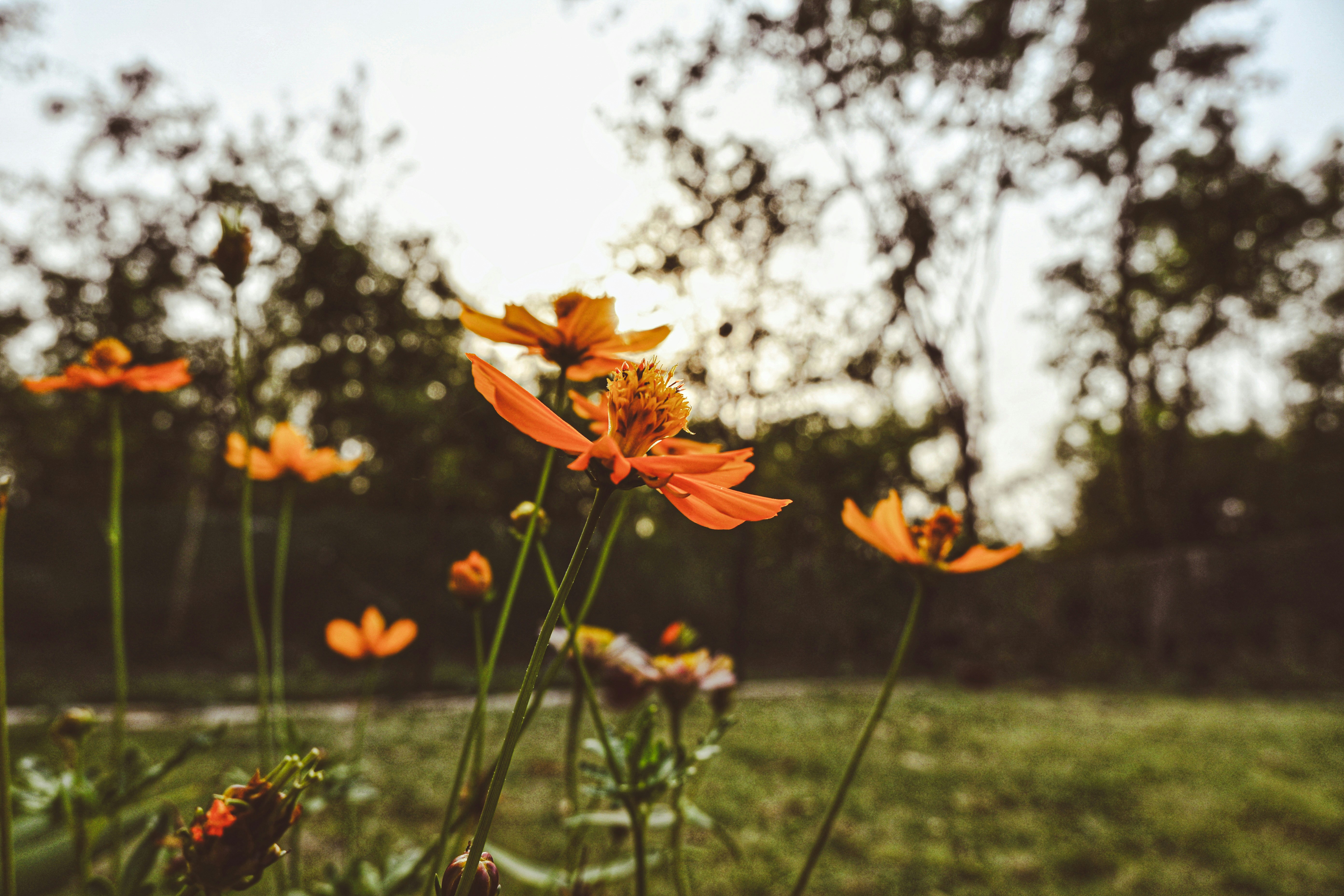 Photo by dhandavishal