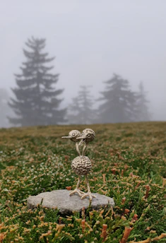 A small metal sculpture of two abstract bird-like figures stands on a flat rock, surrounded by dense, green foliage. In the background, several tall, blurry pine trees emerge through a thick layer of fog creating a mysterious and calm atmosphere.