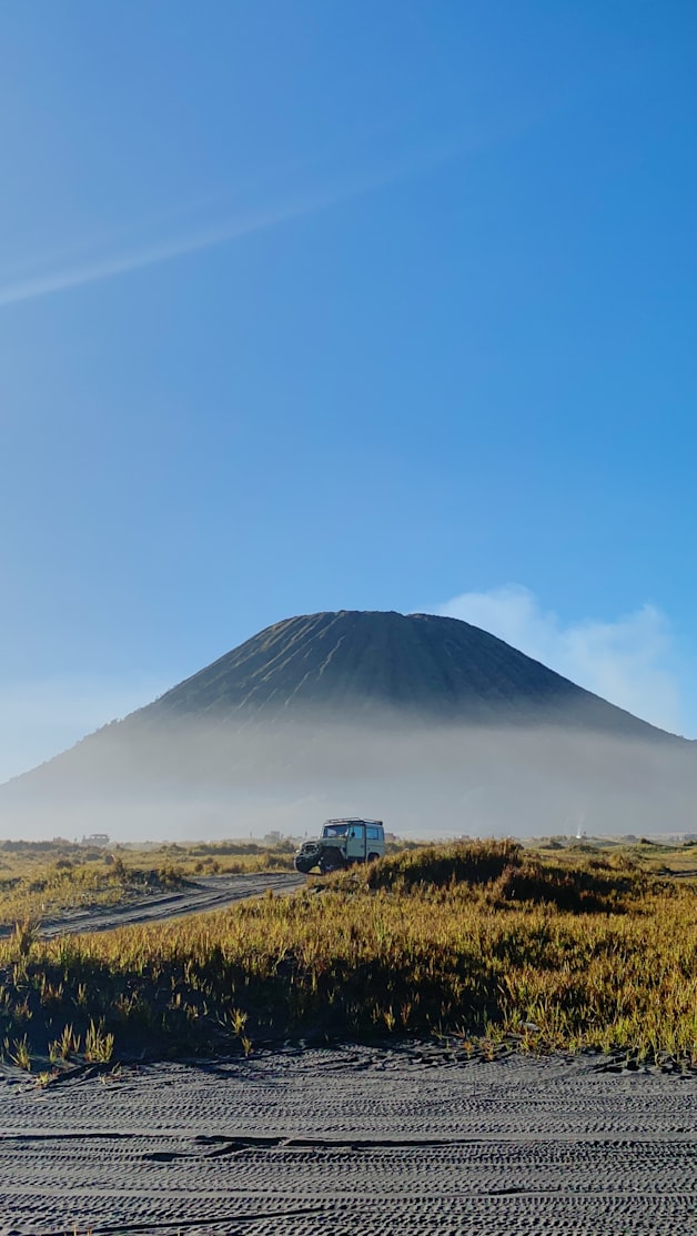 Adventure & Movement