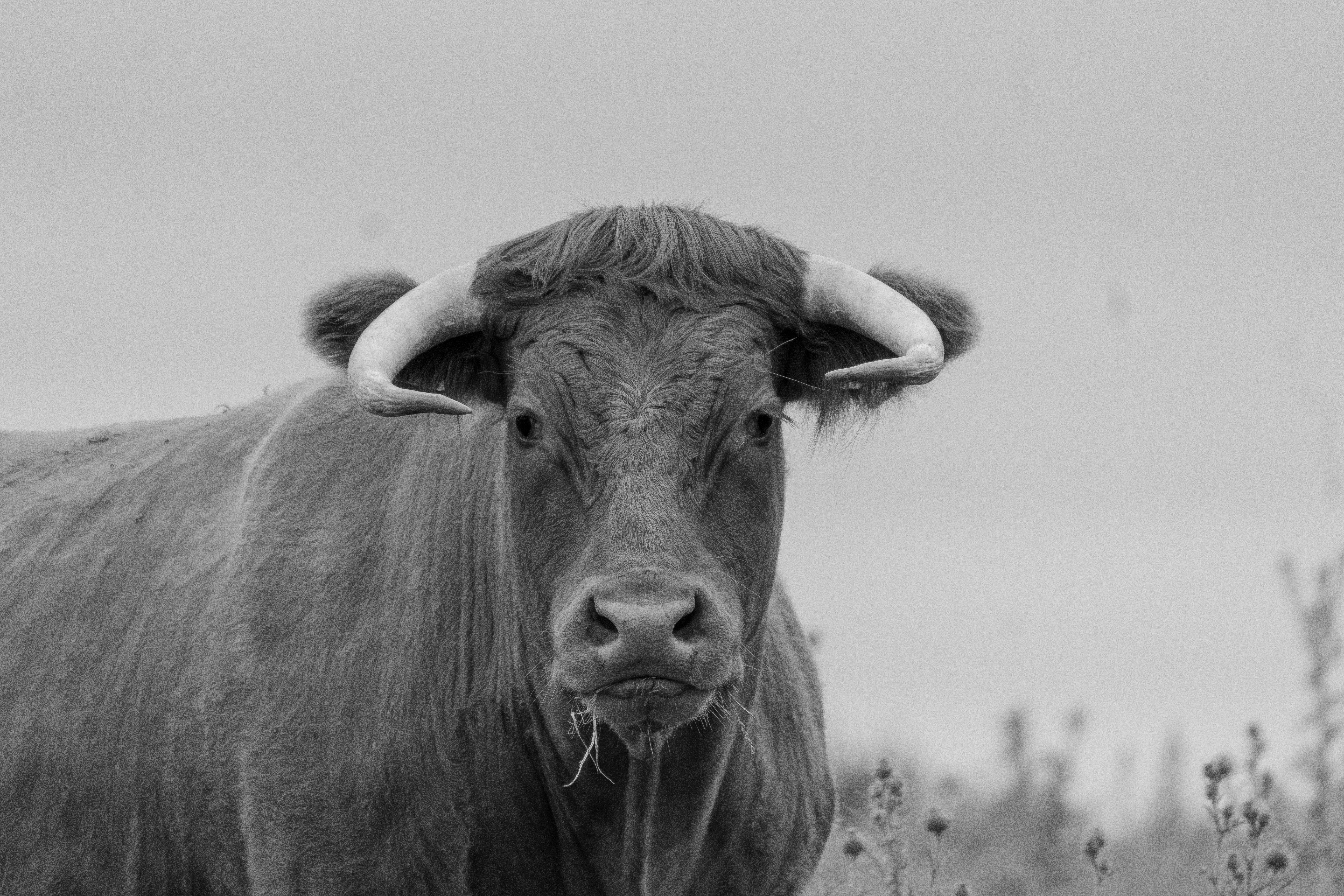 Photo by starkie_pics