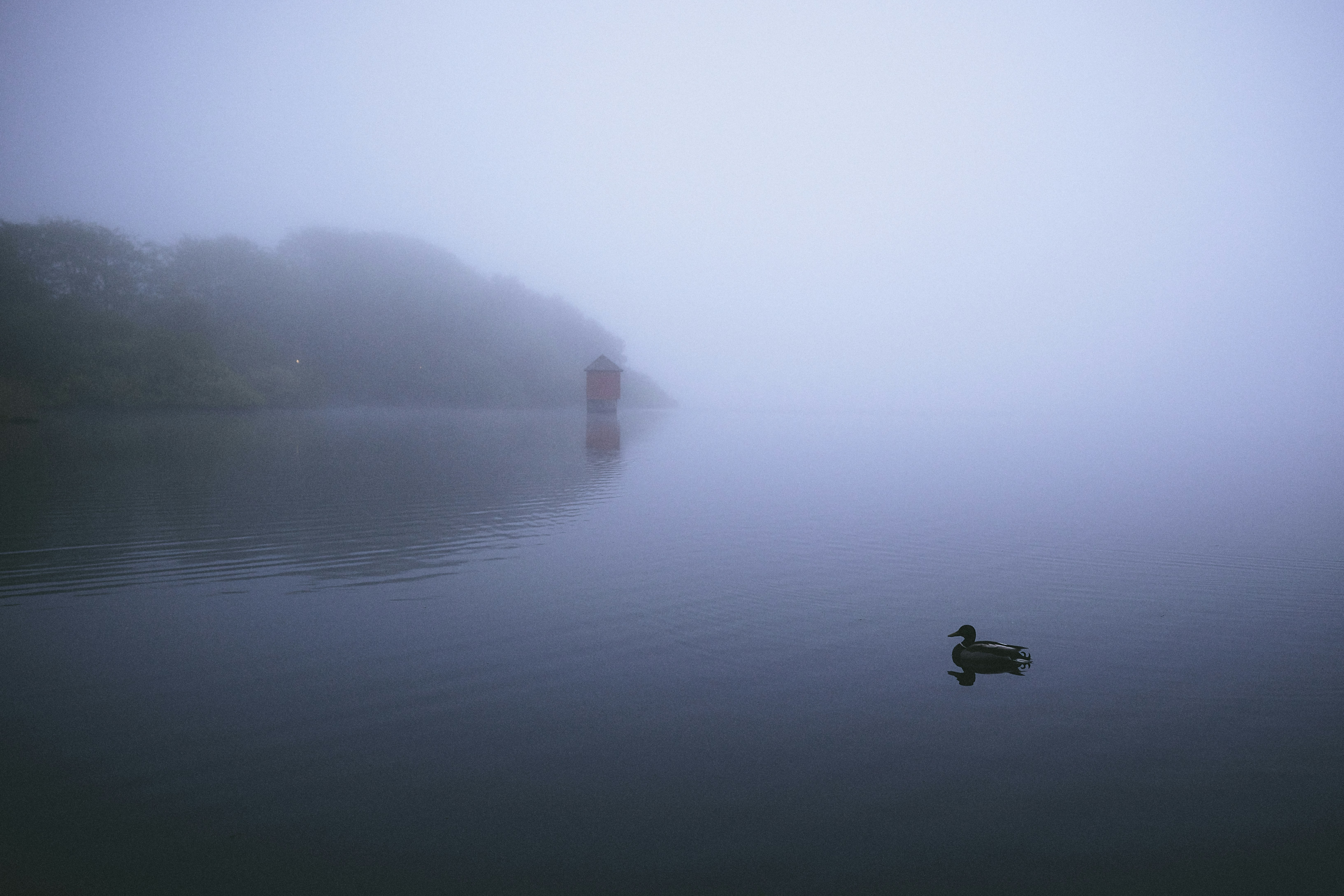 Photo by victor_vector