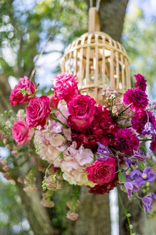 A decorative floral arrangement featuring vibrant pink and red roses, purple flowers, and lush greenery hanging from a tree. A wooden birdcage adds a rustic element to the composition, with sunlight filtering through the leaves in the background.