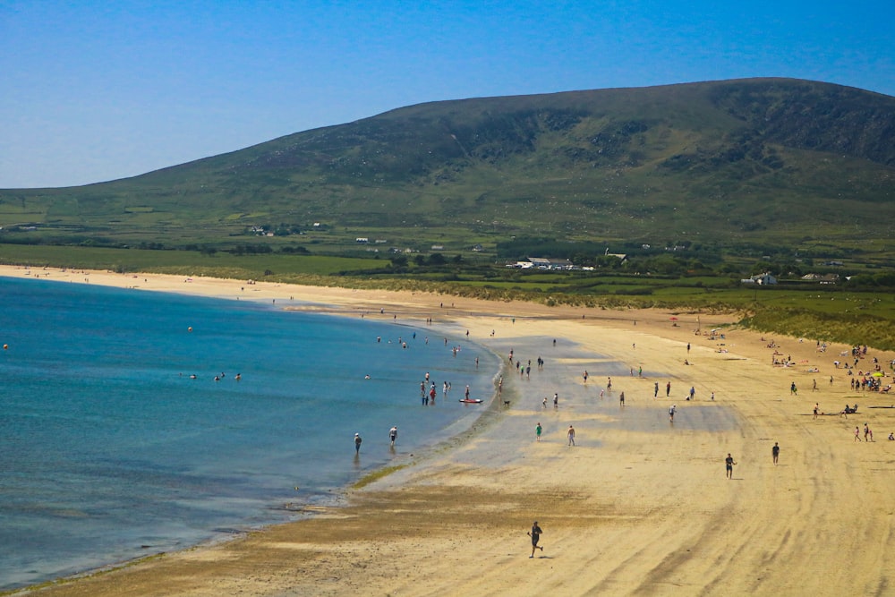 a group of people standing on top of a sandy beach