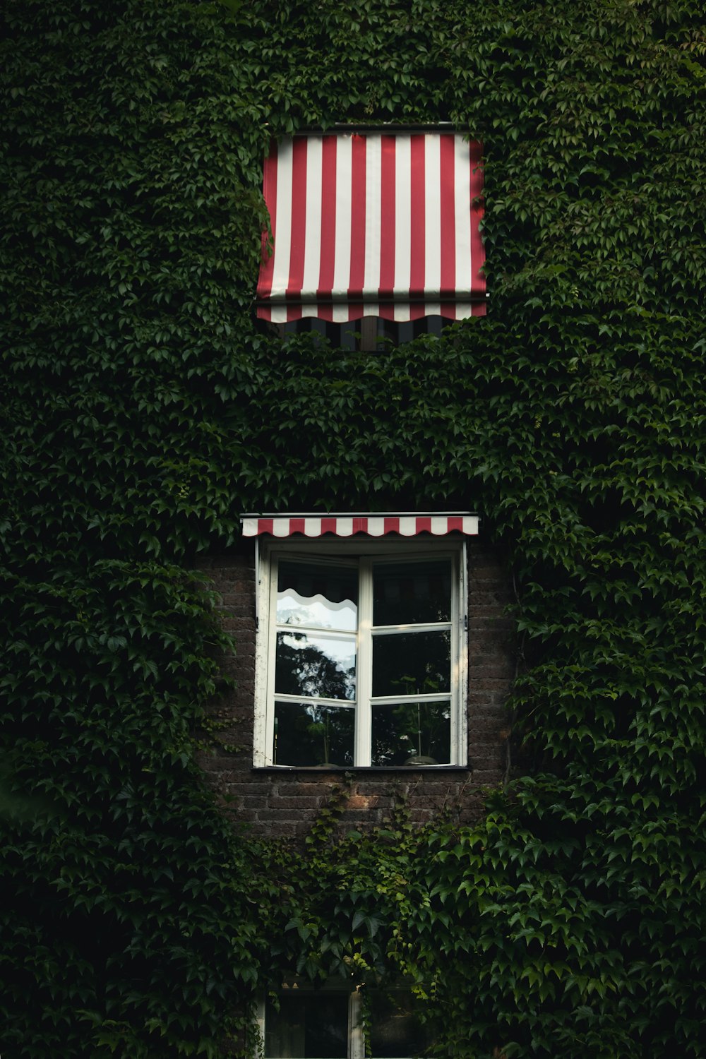 a red and white striped awning over a window