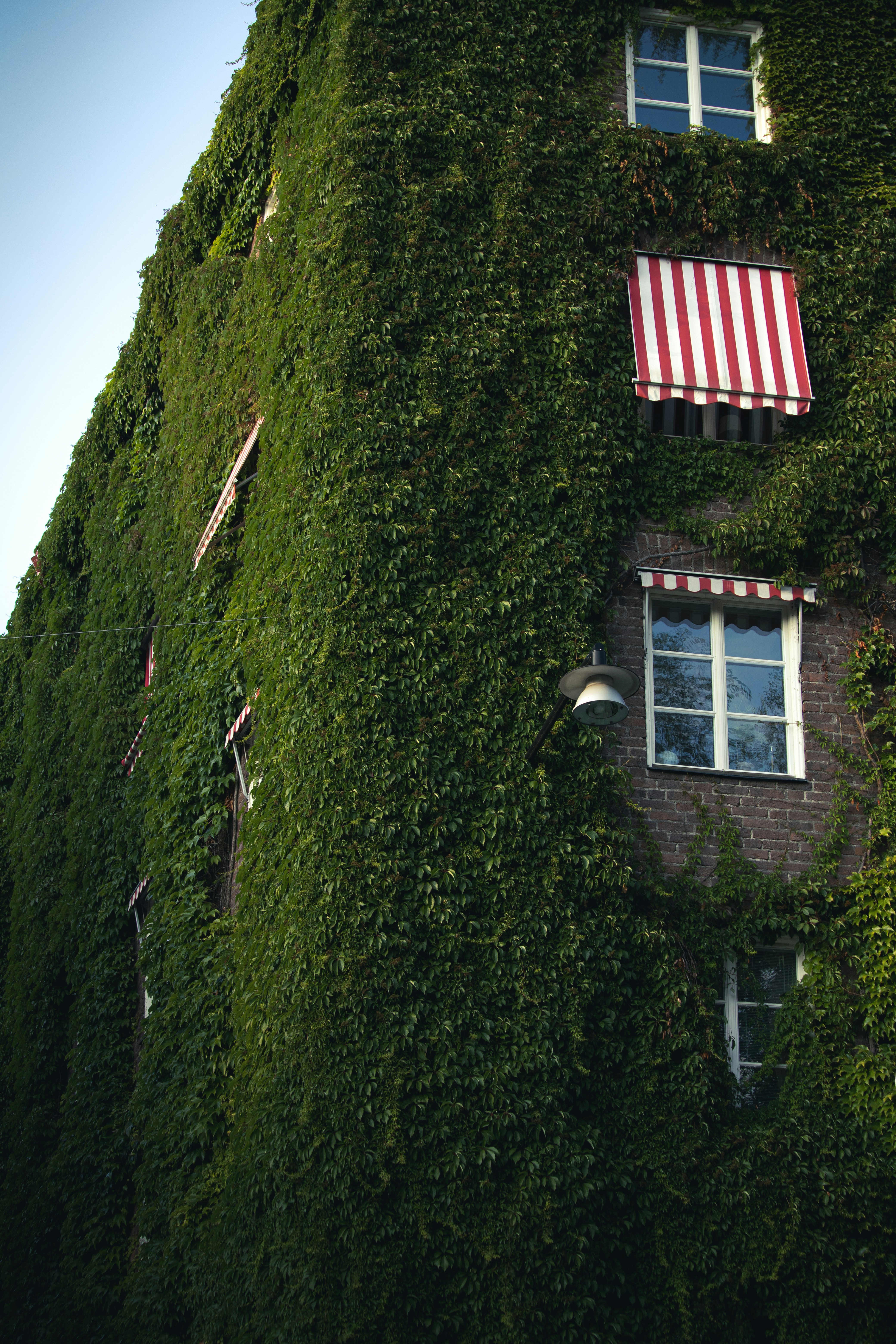 a very tall building covered in lots of green plants