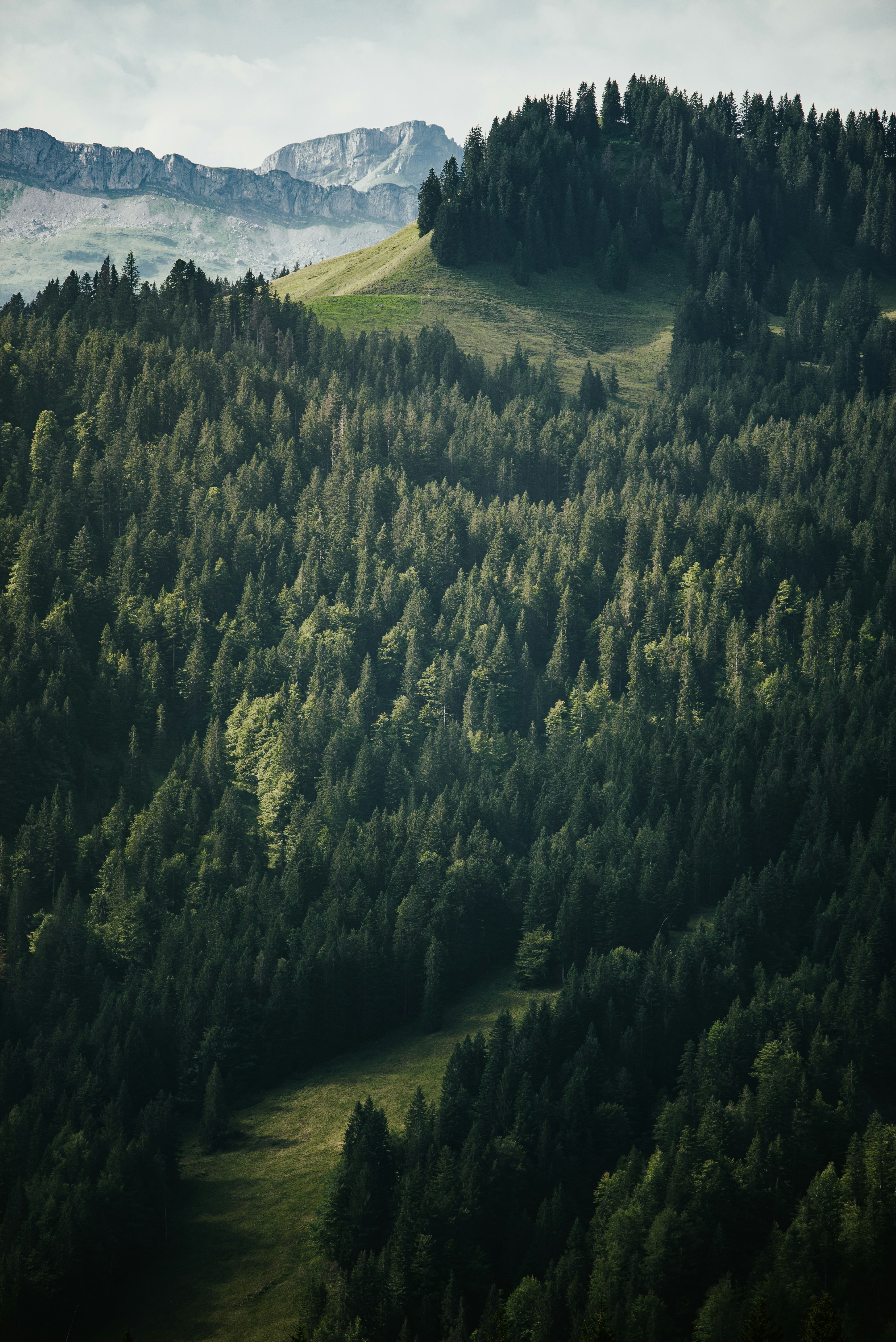 Photo by silassch_92