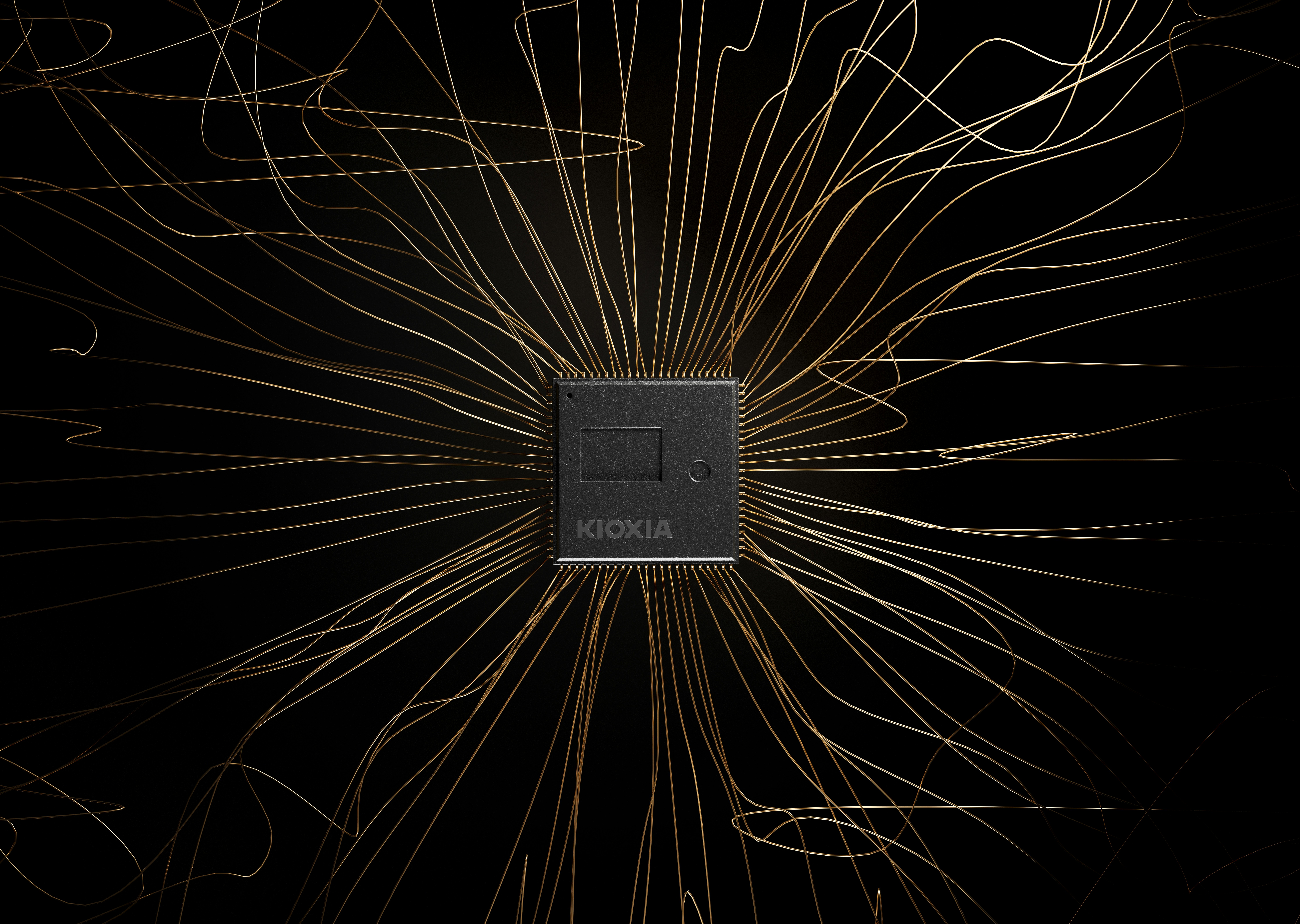 Featured image of post Synology_HDD_db