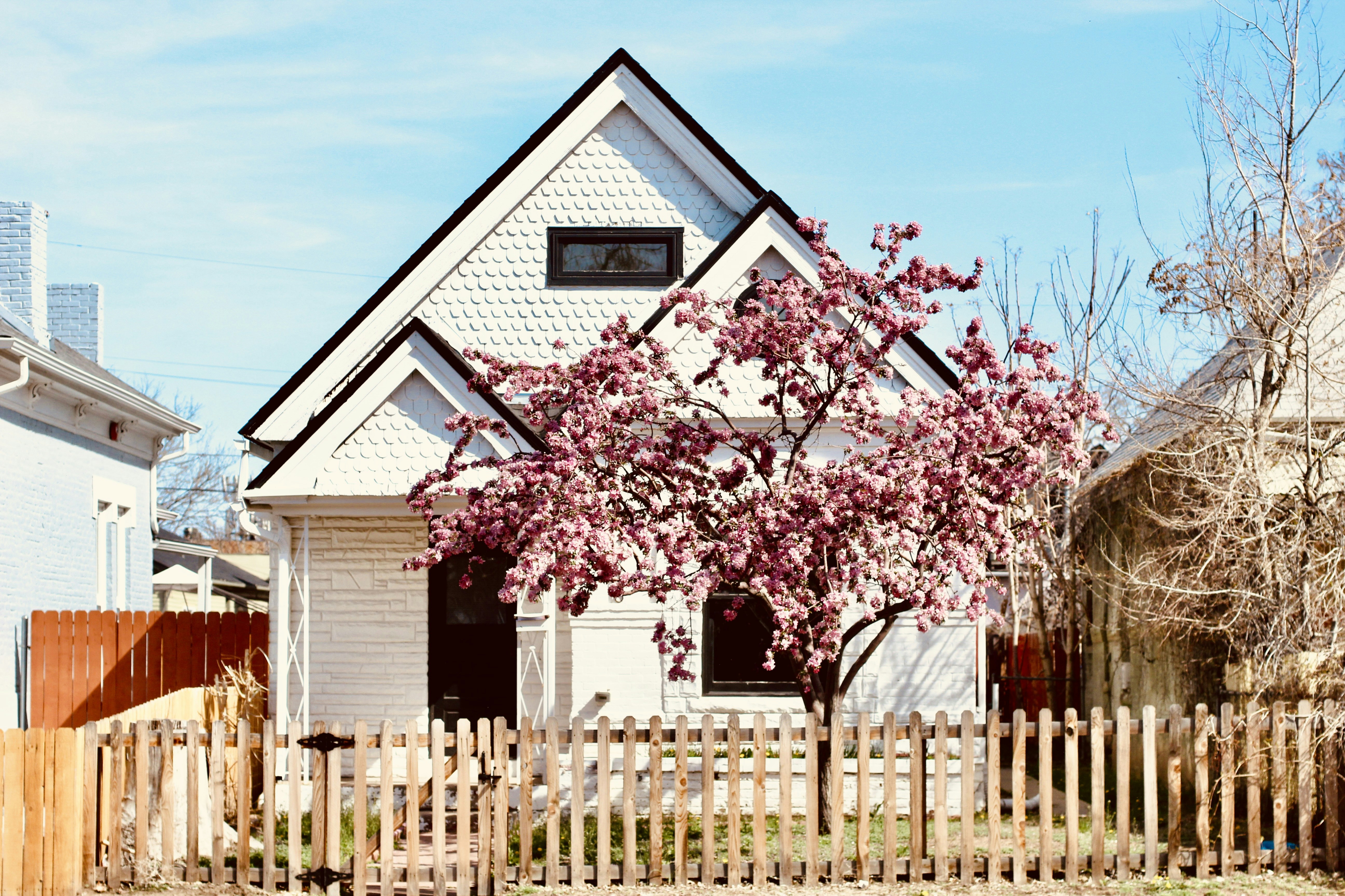 City Spring House